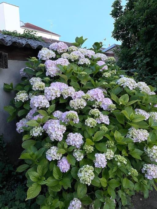 La Casa Del Papa - Maison Spacieuse Avec Jardin Dole Exterior photo
